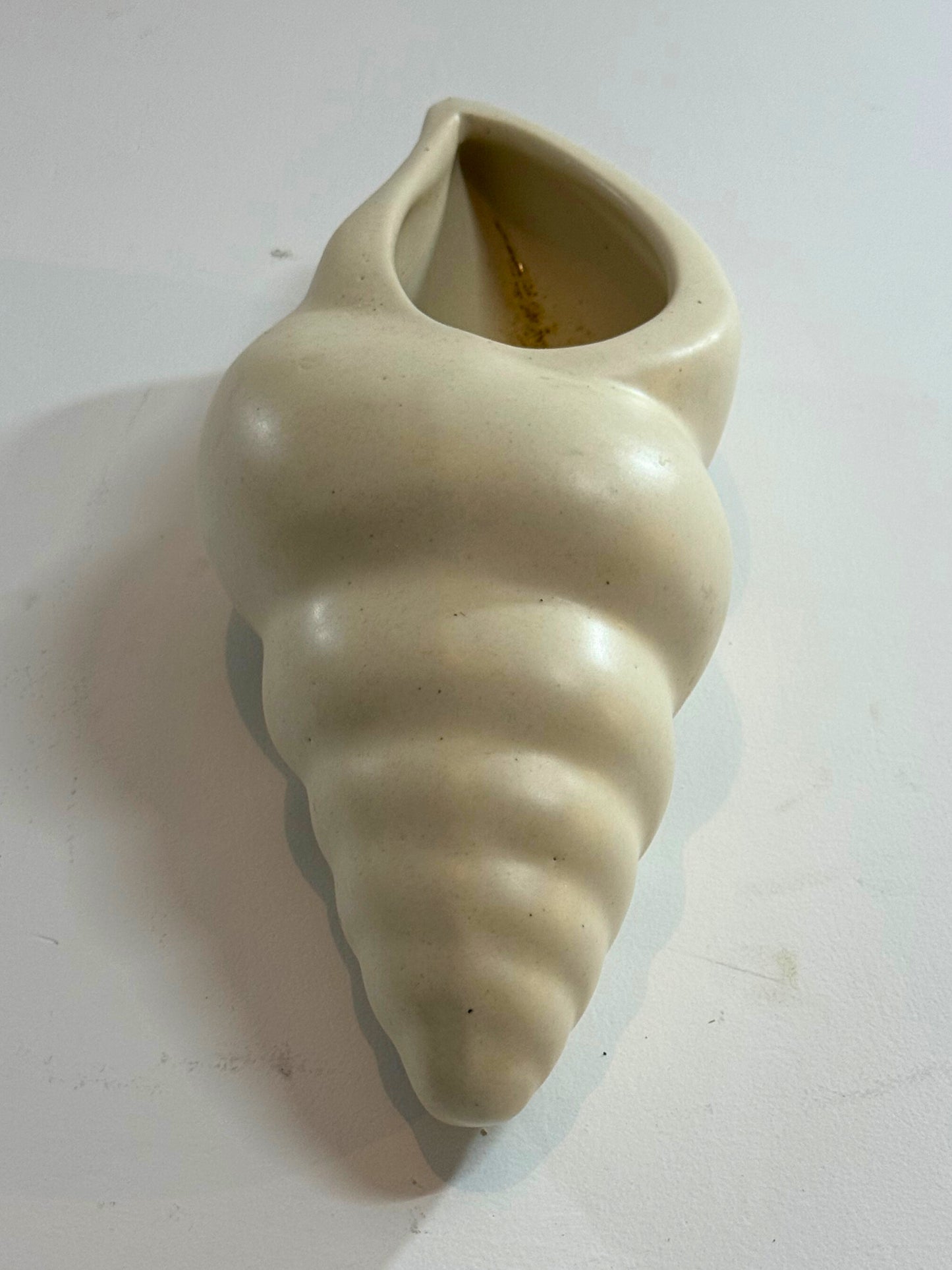 Yubi Sora Conch Shell Wall Hanging Decor