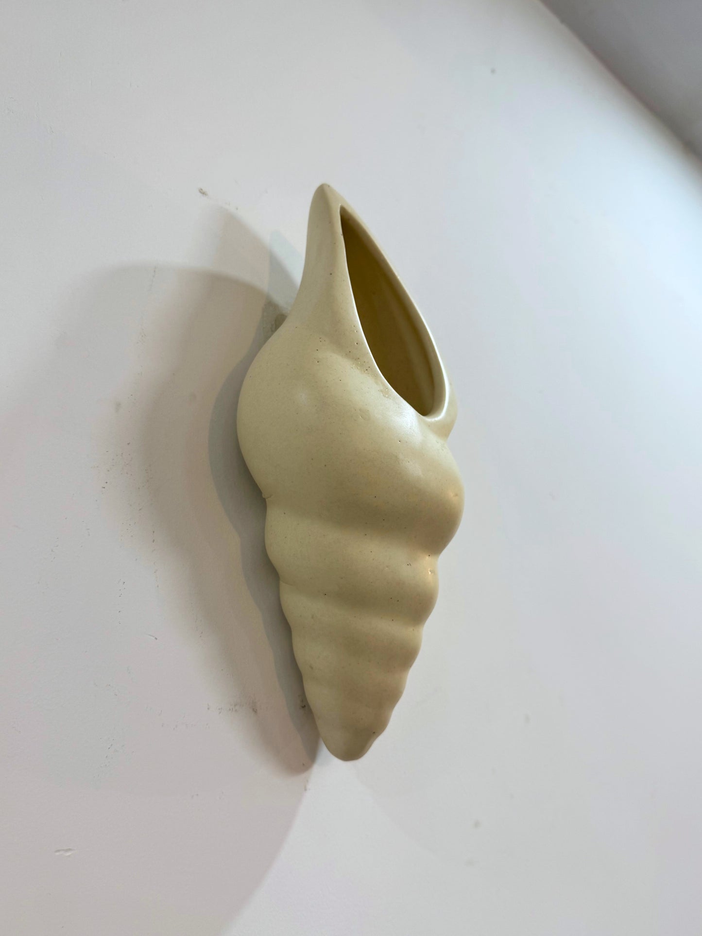 Yubi Sora Conch Shell Wall Hanging Decor