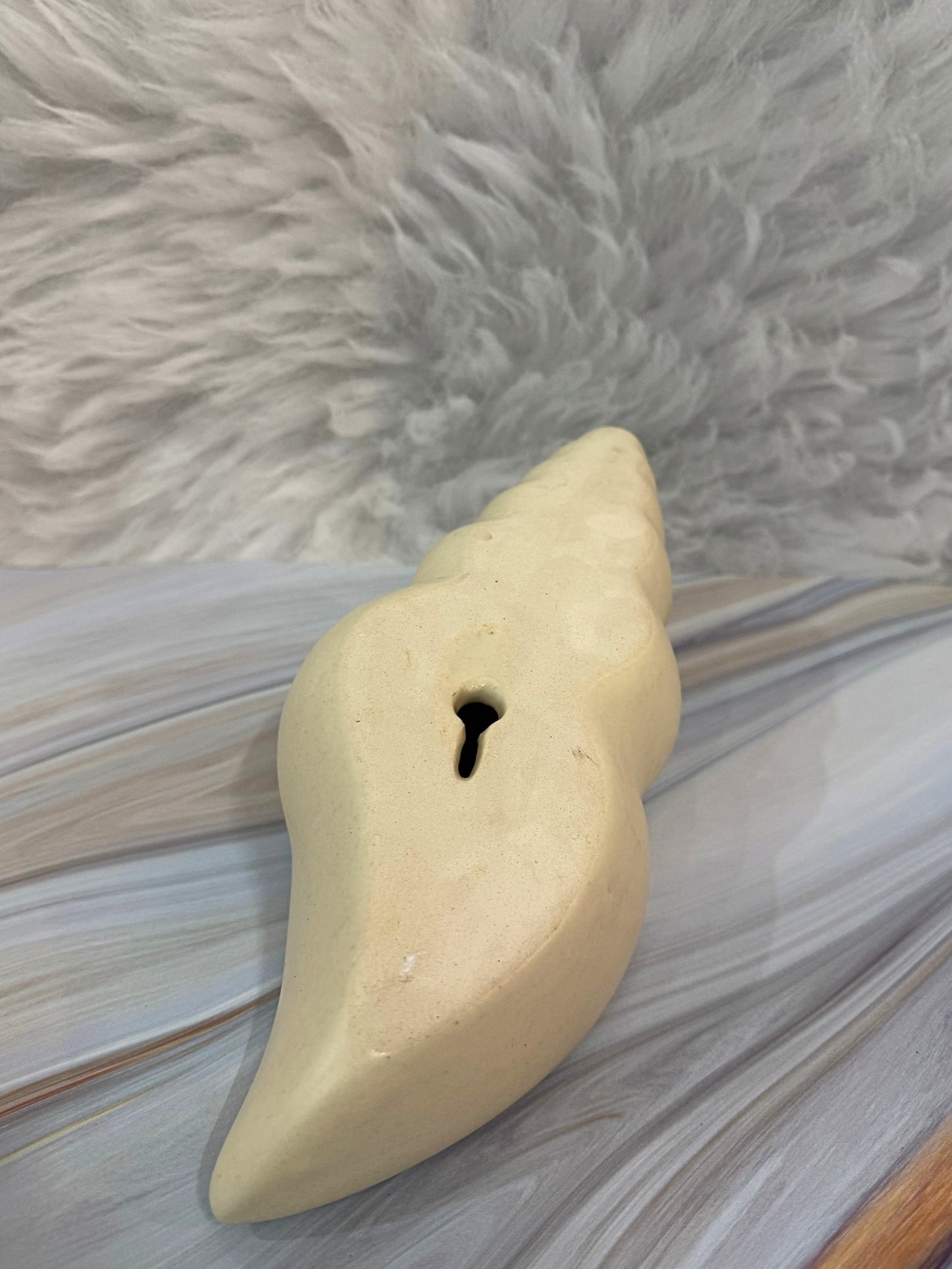 Yubi Sora Conch Shell Wall Hanging Decor