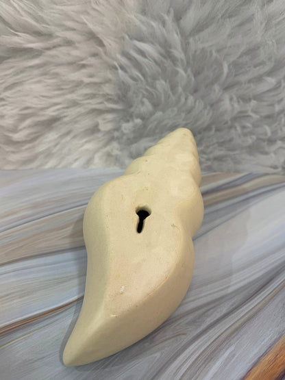 Yubi Sora Conch Shell Wall Hanging Decor